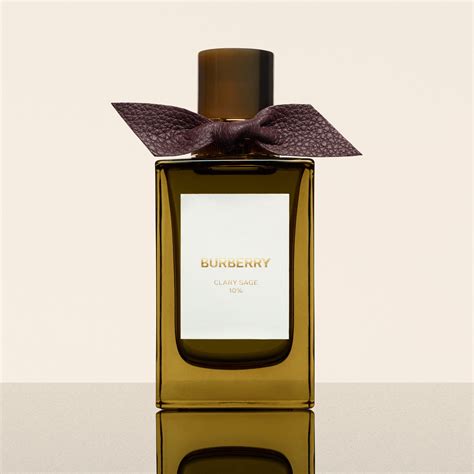 burberry perfume unisex.